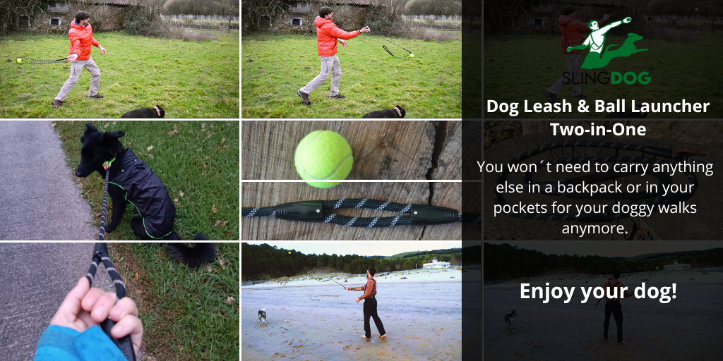 Dog Leash & Ball Launcher 2-In-1 (three winners) Giveaway
